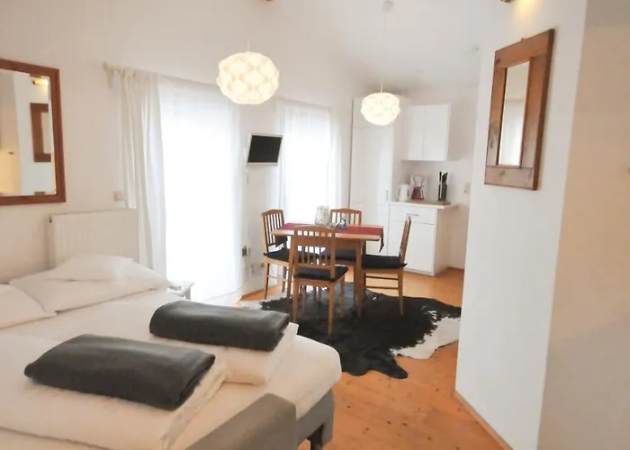 公寓 Schmitten 67 滨湖采尔